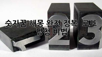 숫자꿈 해몽 완전 정복 🔮 로또 당첨 비법?!