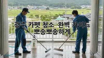 광주 카펫 청소 ✨ 완벽 가이드: 뽀송뽀송하게!